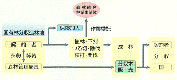 分収造林制度の説明