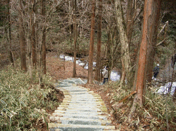 遊歩道写真