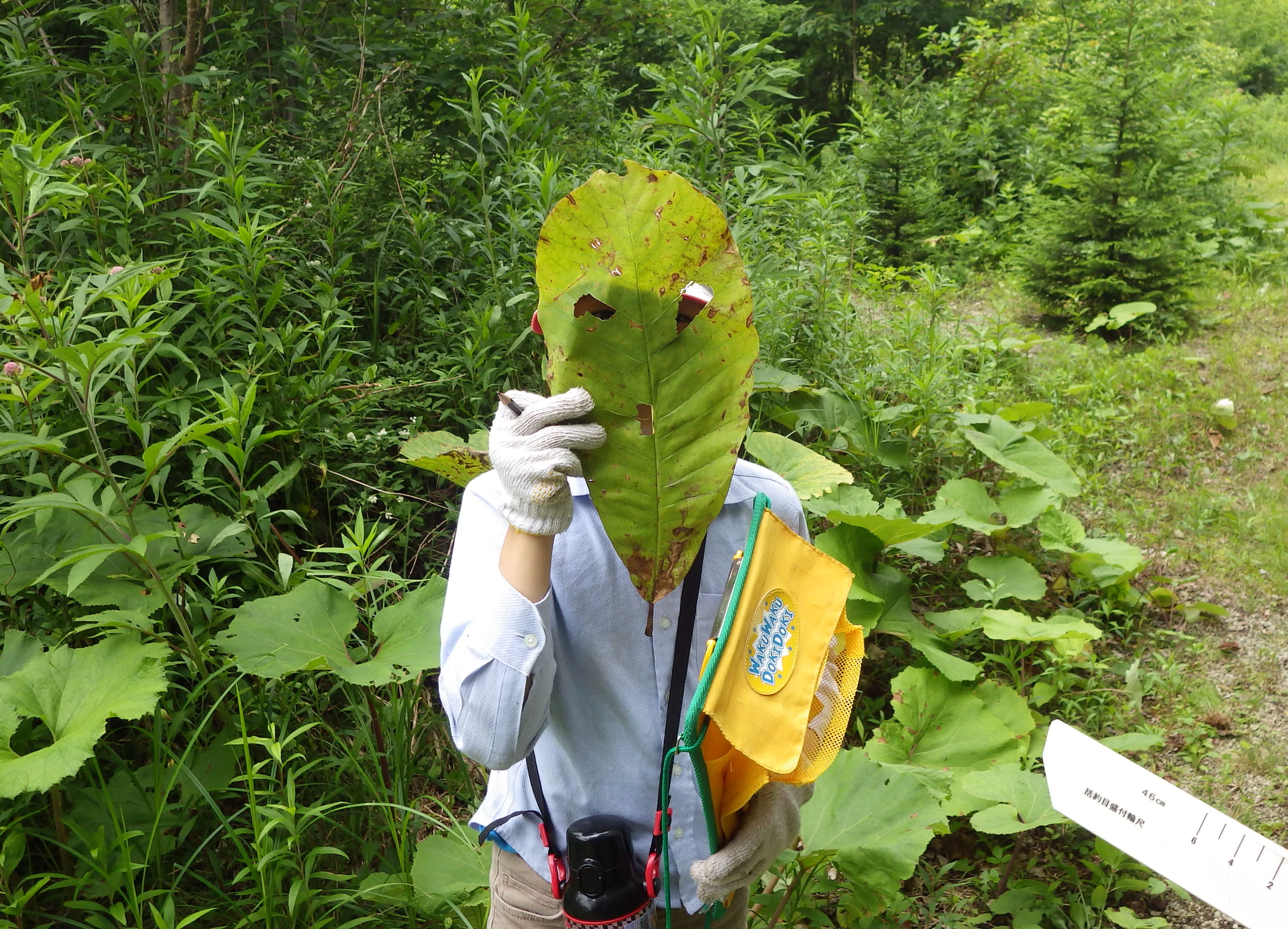 写真：遊々の森（葉っぱの仮面づくり）