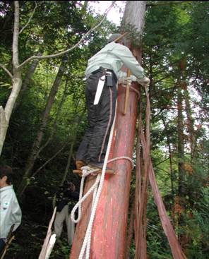 写真：木の文化を支える森（檜皮の森）