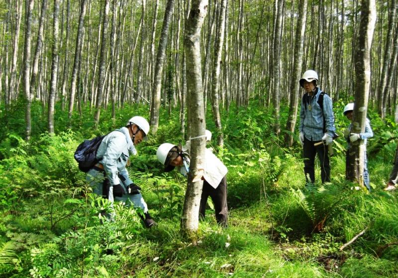 写真：企業の除伐作業