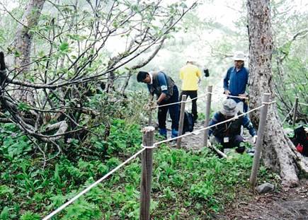 写真：多様な活動の森（登山道の整備活動）