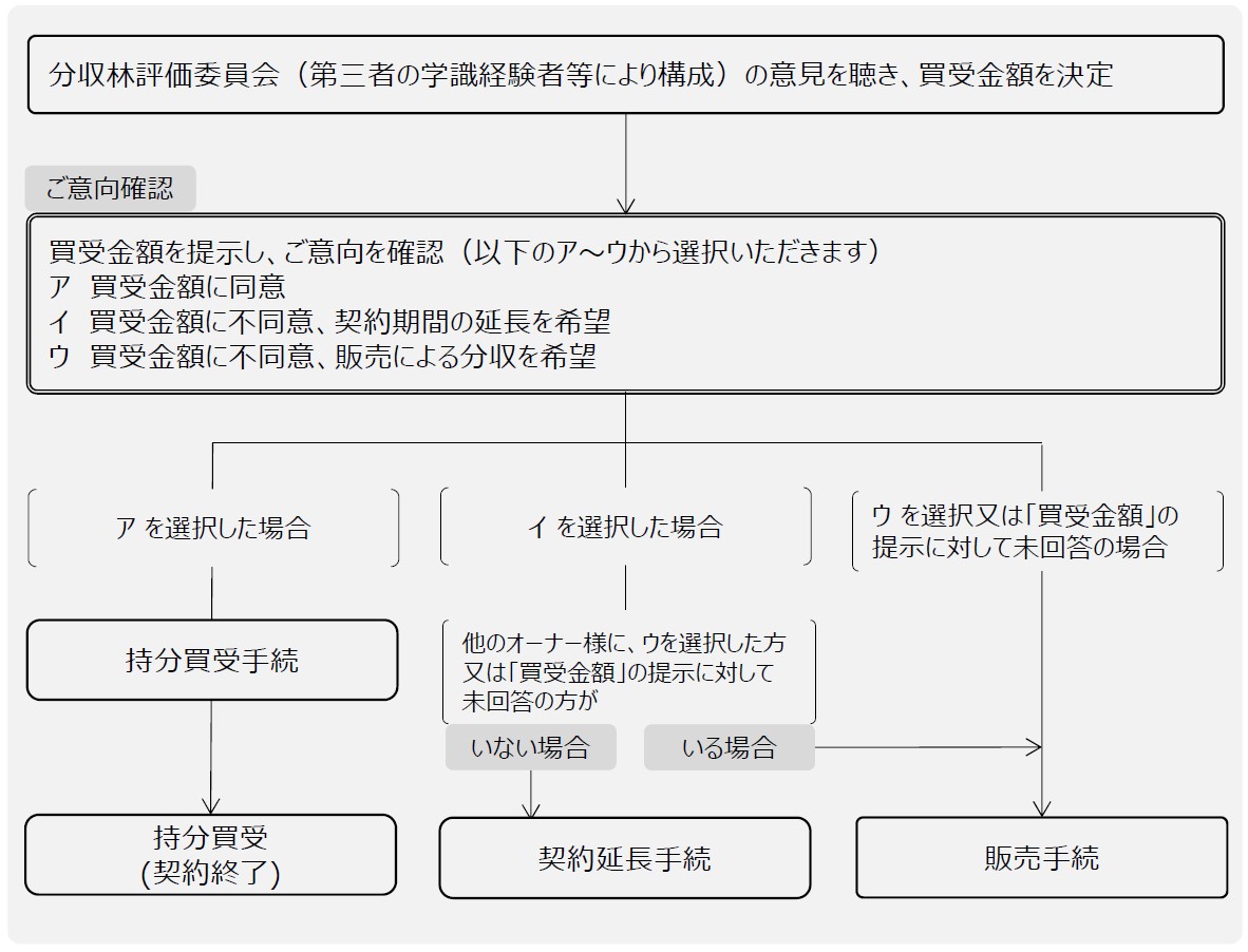 買受フロー