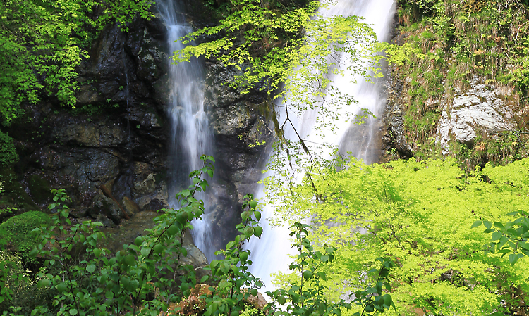 新緑の原不動滝