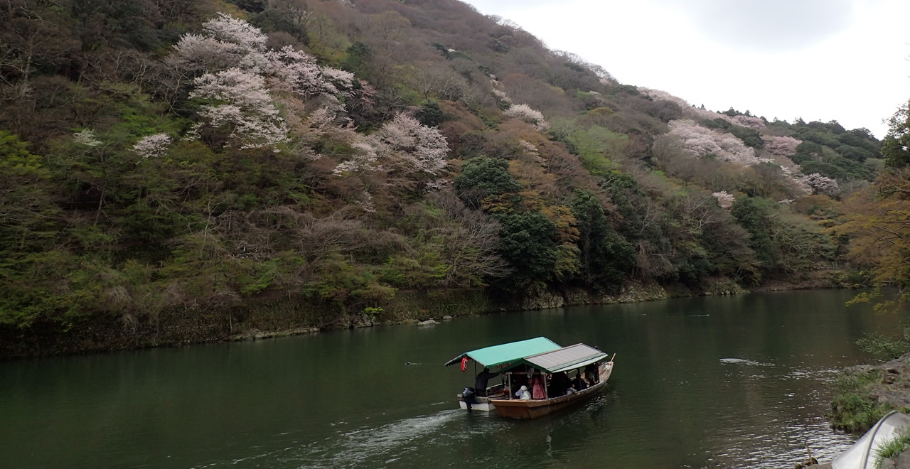 嵐山風景林 林野庁