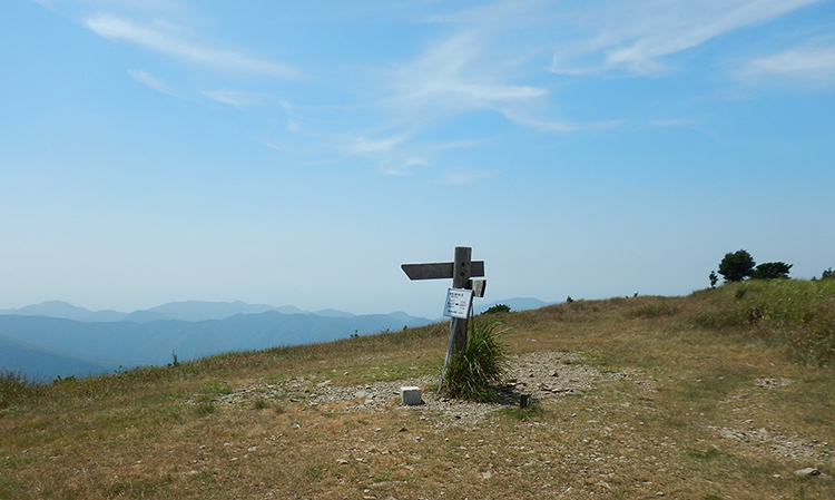 有明山頂上