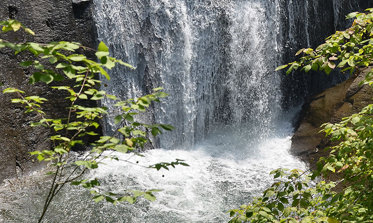 夏の白扇の滝