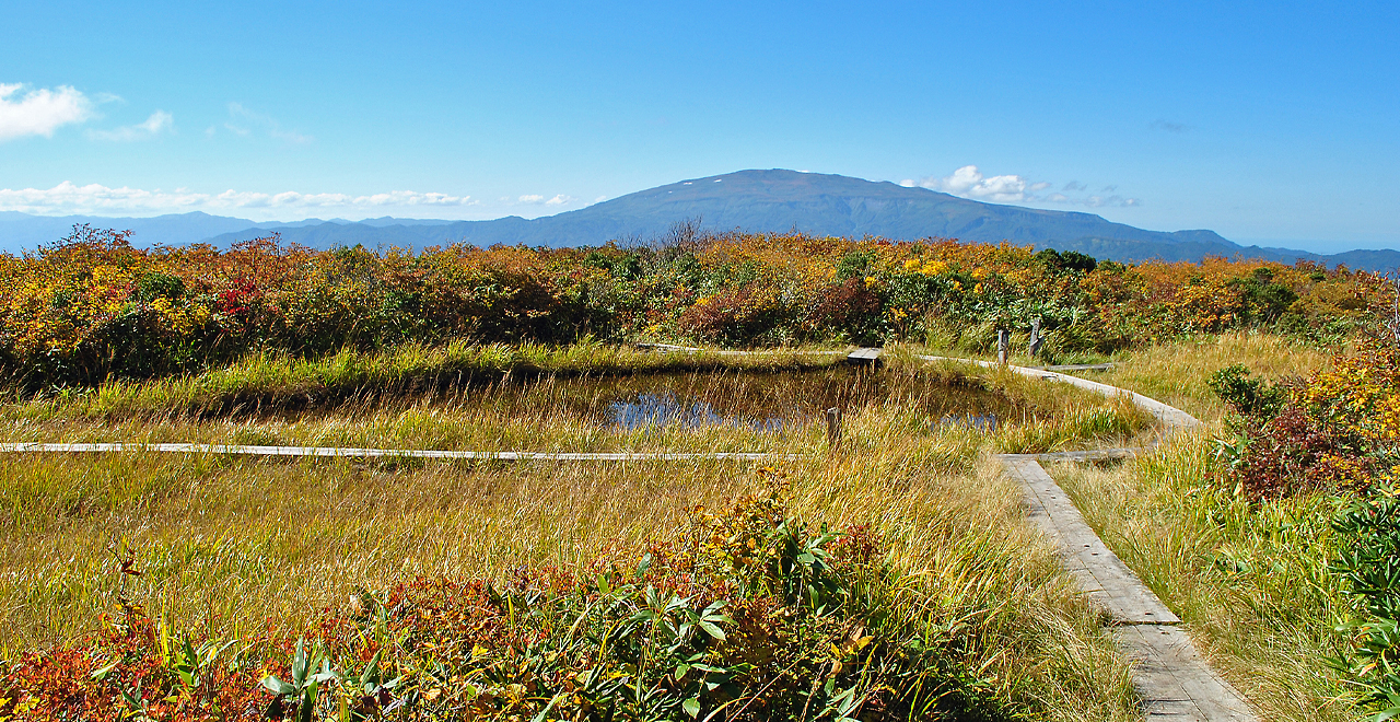 とんぼ沼から月山