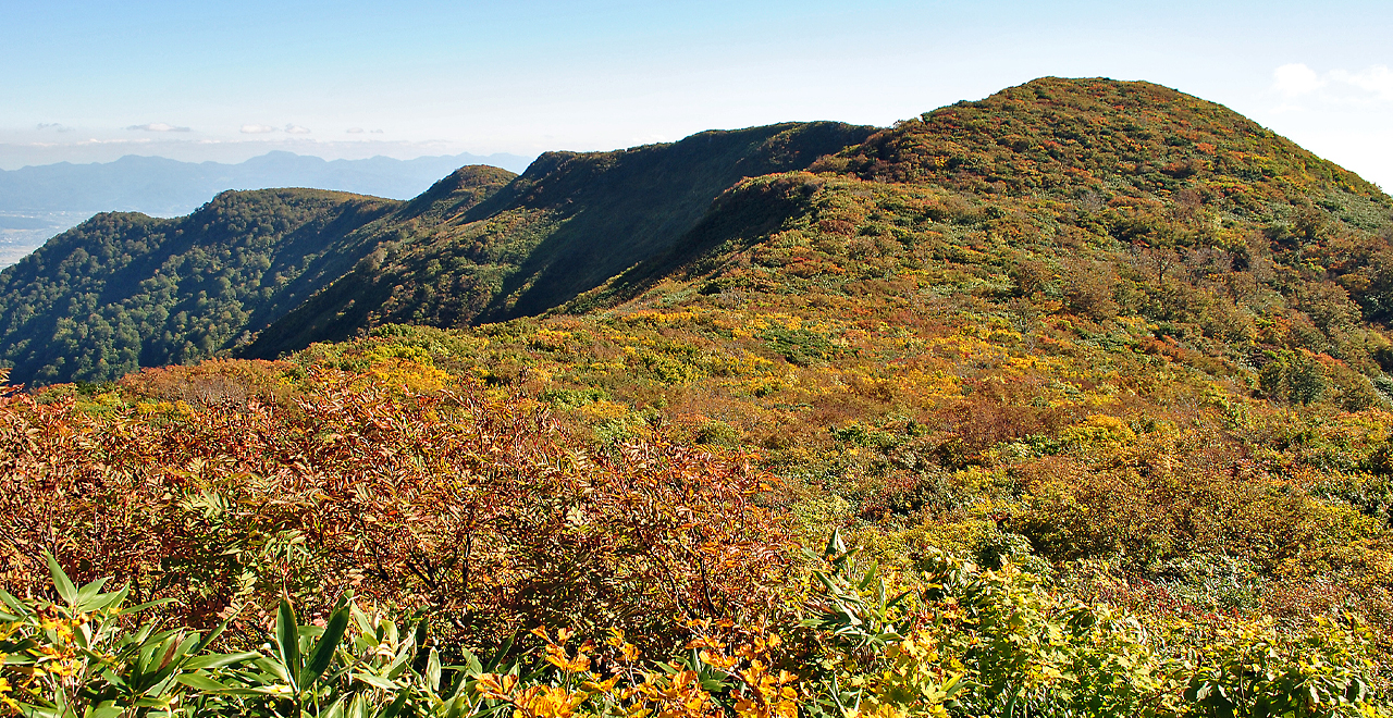 錦秋の葉山