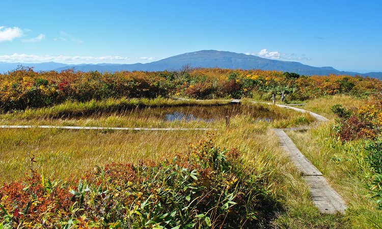 とんぼ沼から月山