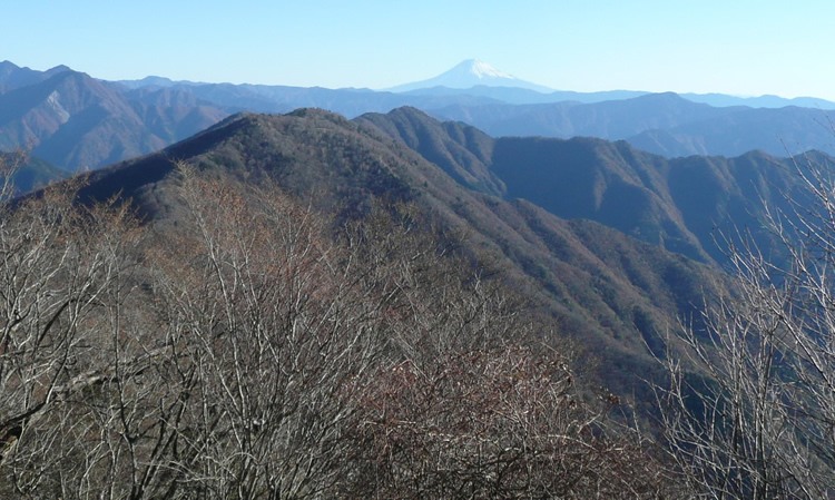 千石平・蕎麦粒山山頂より望む富士山