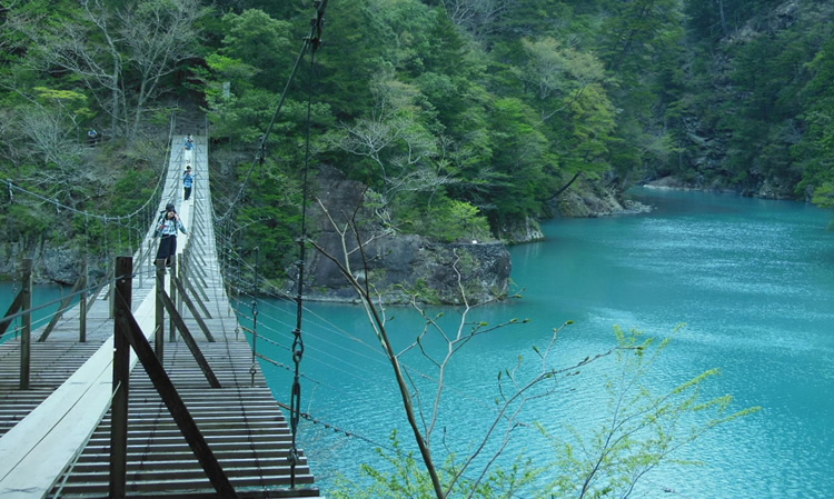 飛竜橋・夢の吊り橋付近