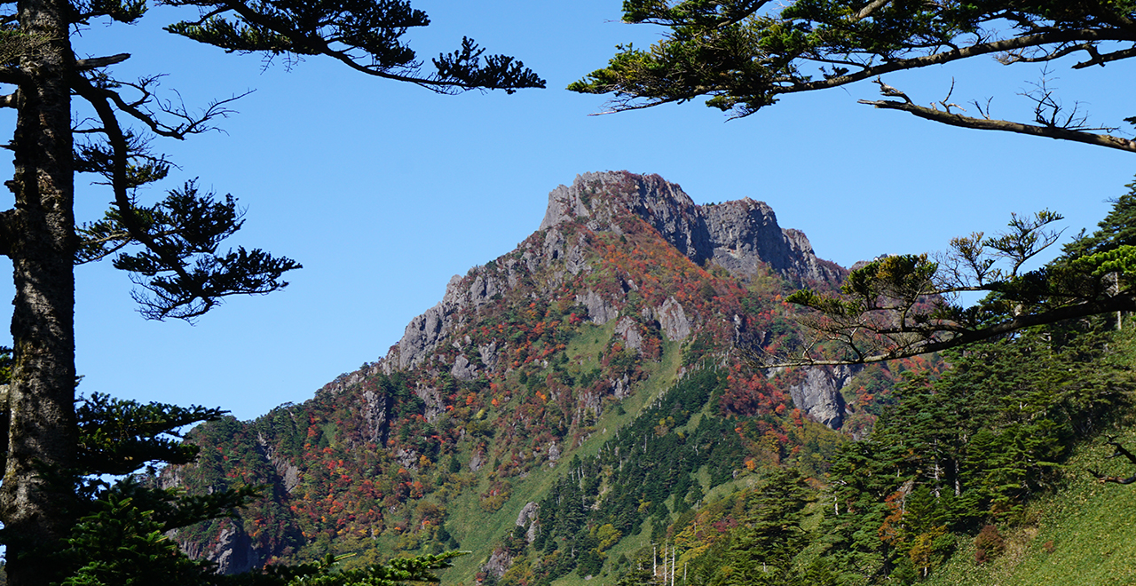 石鎚風景林 林野庁