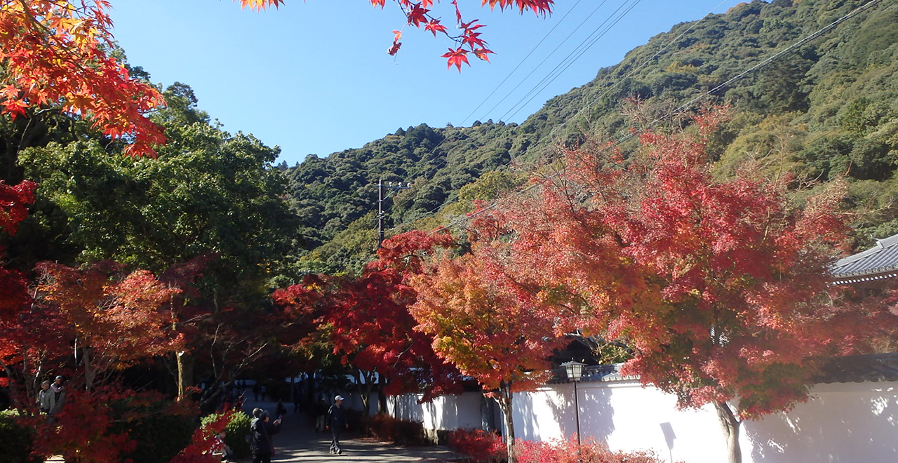 紅葉谷のメインストリート