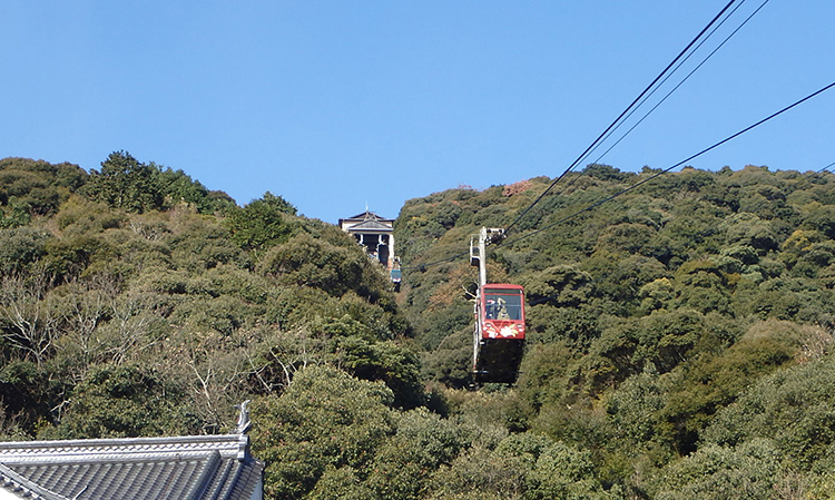 常緑広葉樹の山を空中散歩！