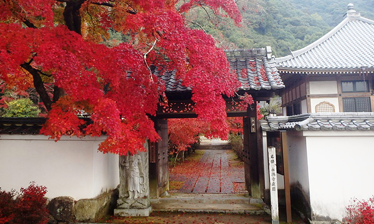 晩秋の紅葉と寺