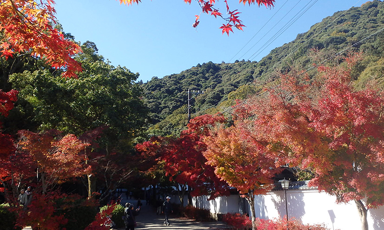 紅葉谷のメインストリート