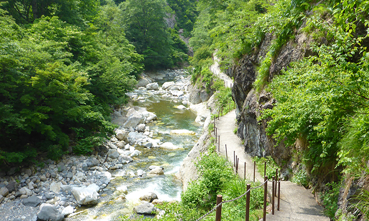 親谷の湯へと続く遊歩道