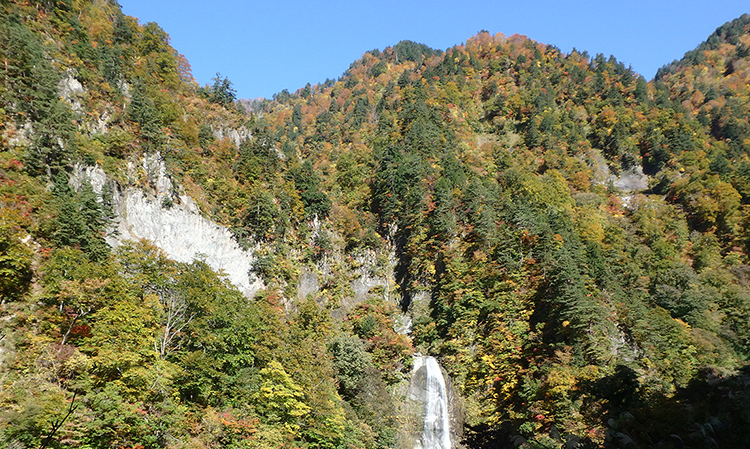 紅葉と瀑布のコントラスト