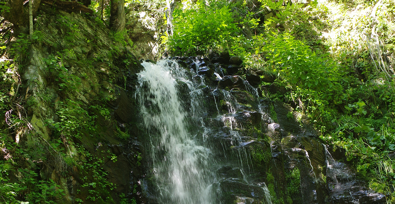 初夏の虹の滝