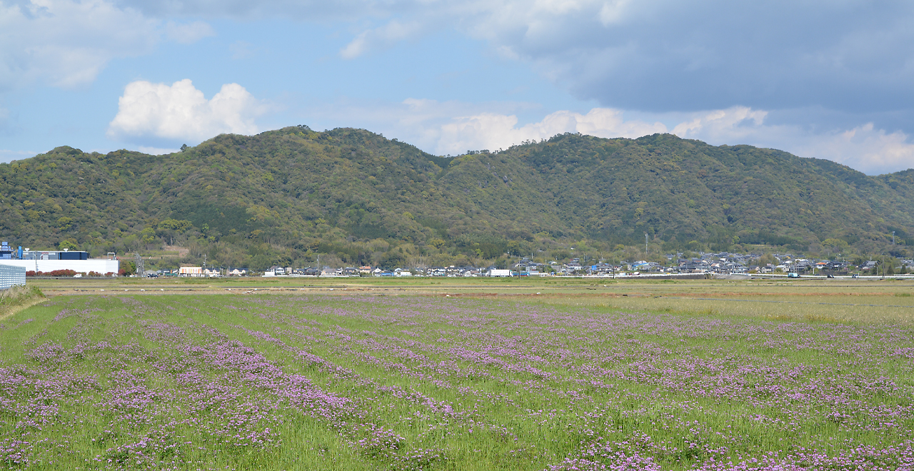 市街地から見る木原山