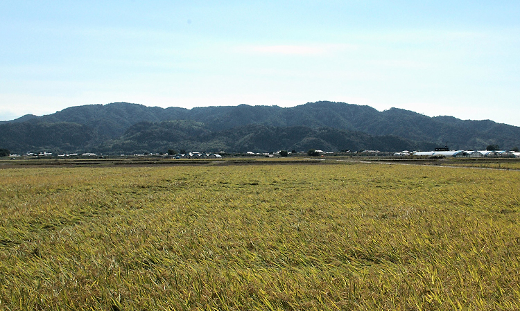 木原山全景