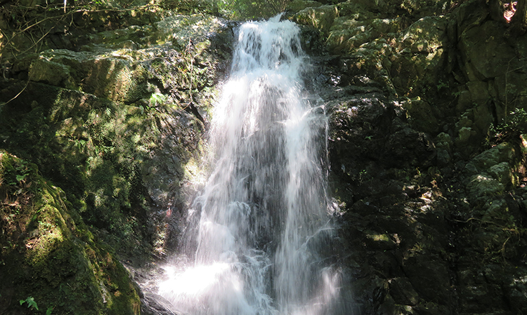 七重の滝の「七の滝」