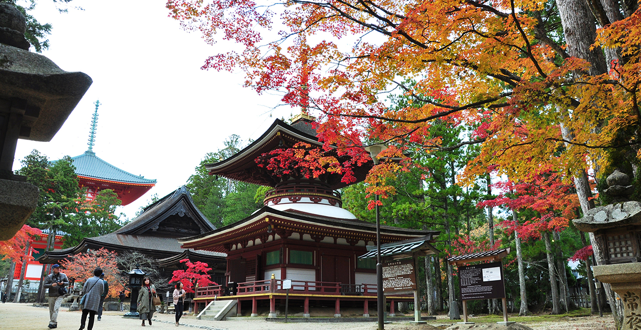 紅葉最盛期の壇上伽藍（東塔）