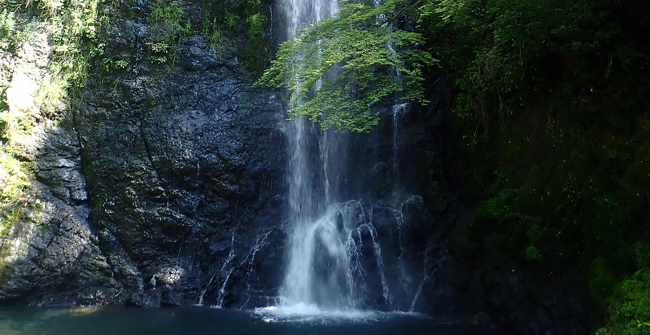 初夏の箕面滝