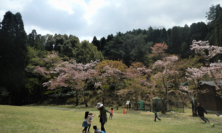 勝尾寺園地