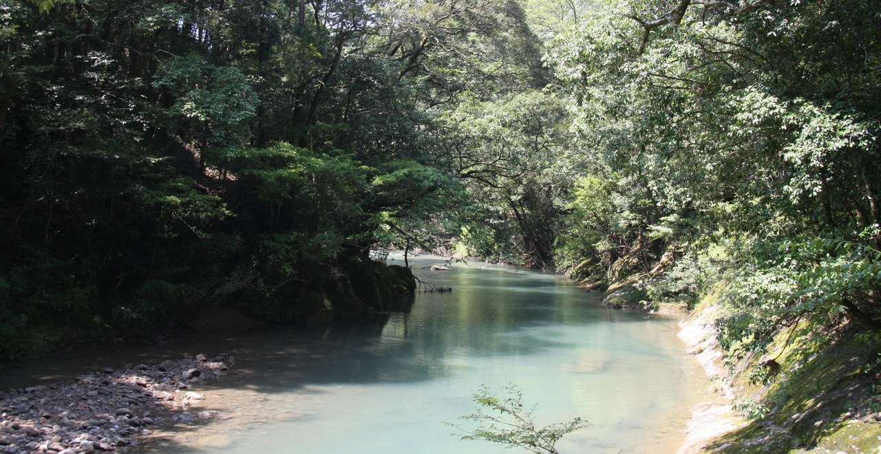 原生林を流れる加江田渓谷