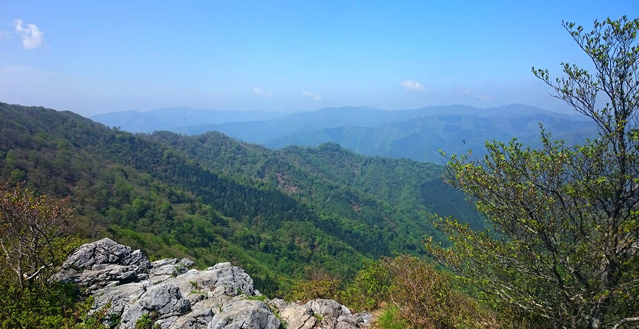 夏、白岩岩峰を望む