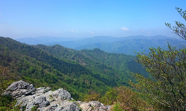 夏、白岩岩峰を望む