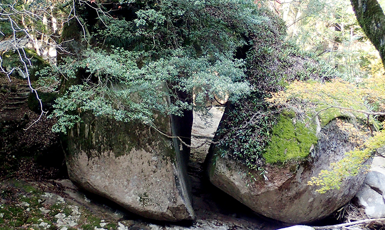 鳥居岩