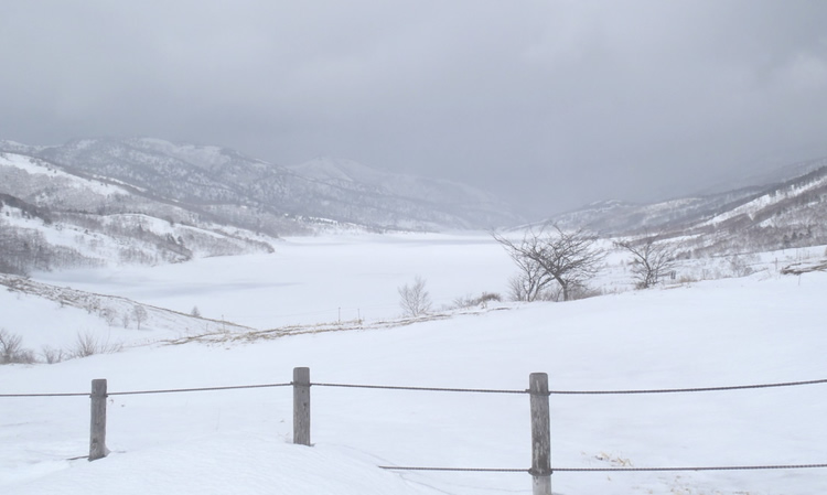 雪に覆われた野反湖