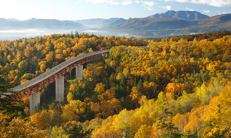 三国峠の紅葉