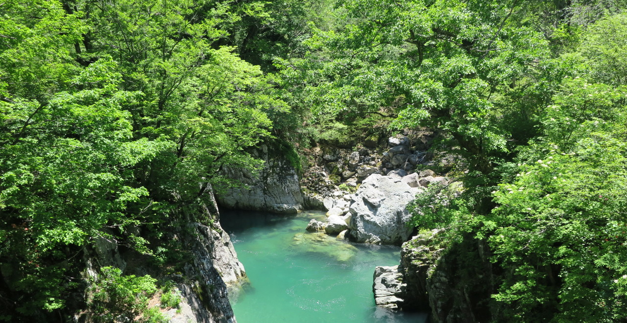 初夏の天狗橋清流