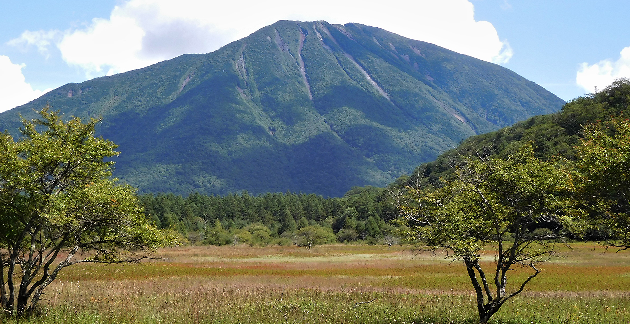 小田代原から望む男体山