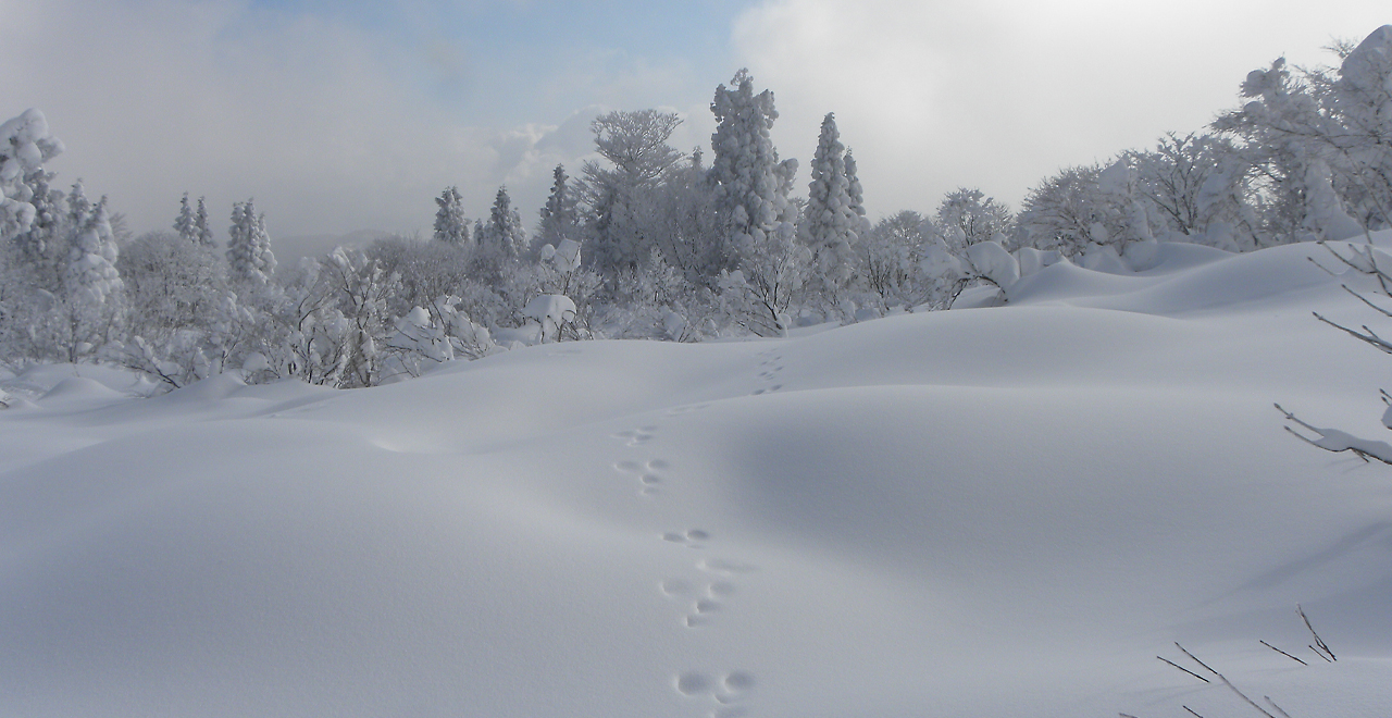 雪景色