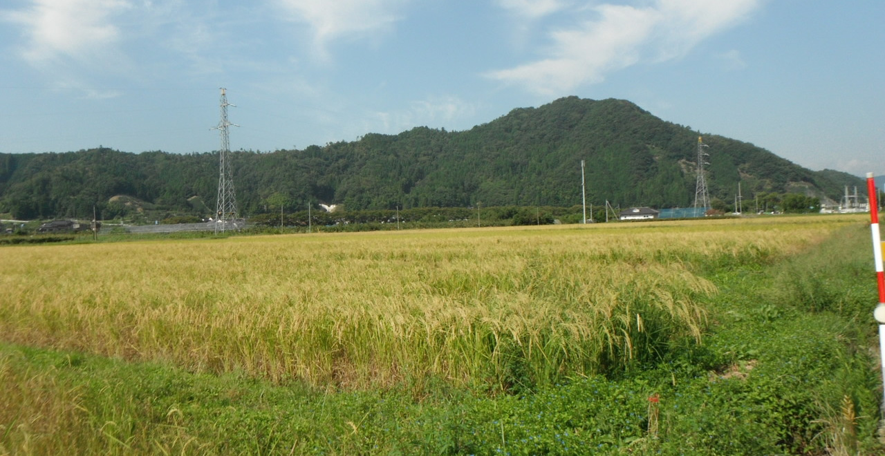 八頭町田園風景