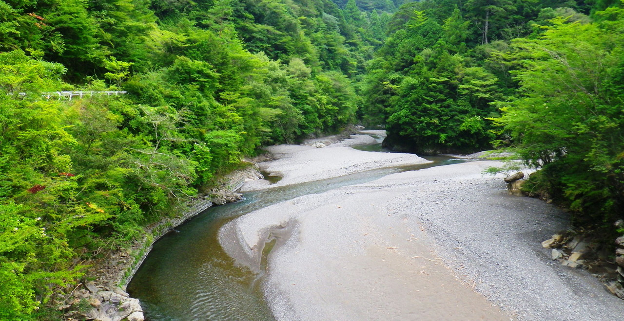 県道から付近の眺め