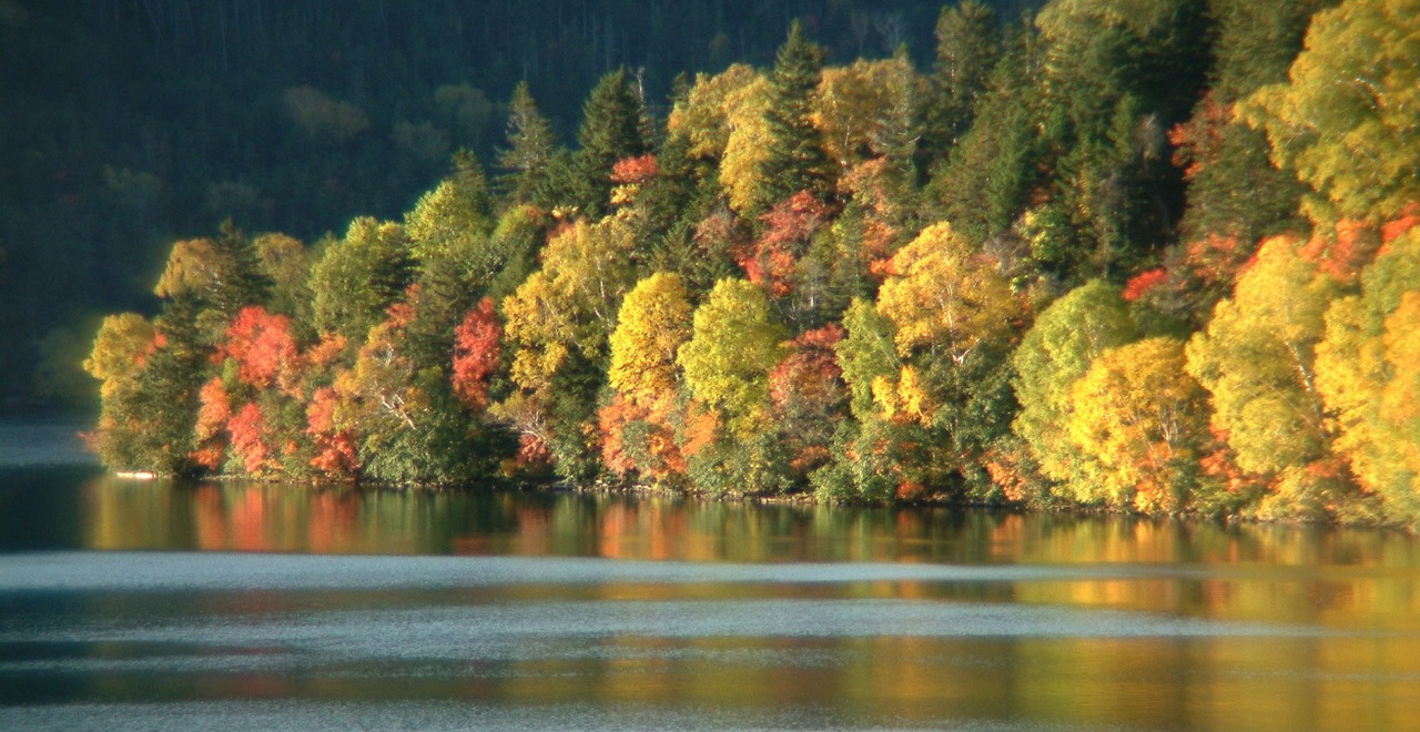 紅葉が鮮やかな然別湖周辺