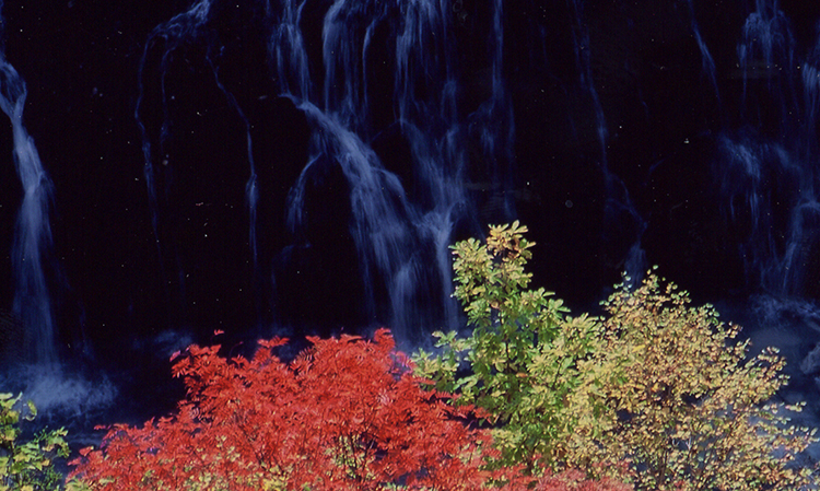 紅葉と白ひげの滝