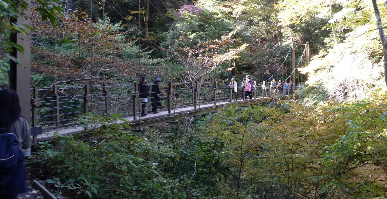 高尾山4号路遊歩道、吊り橋