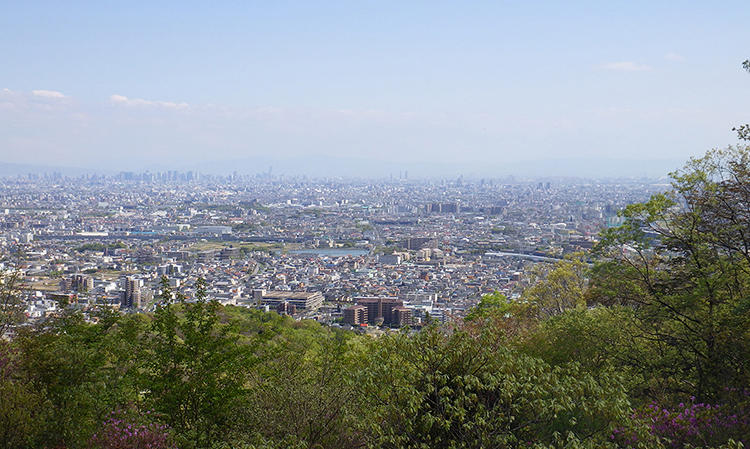 日常からの解放