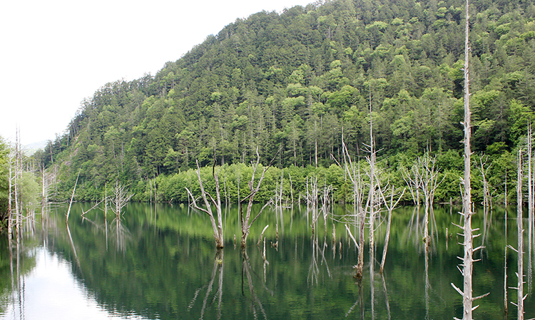 自然湖