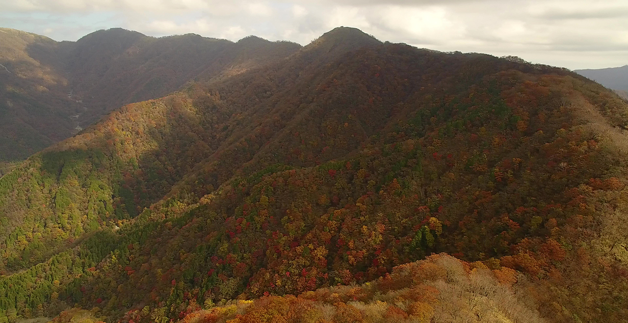 塔ノ岳と鍋割山稜