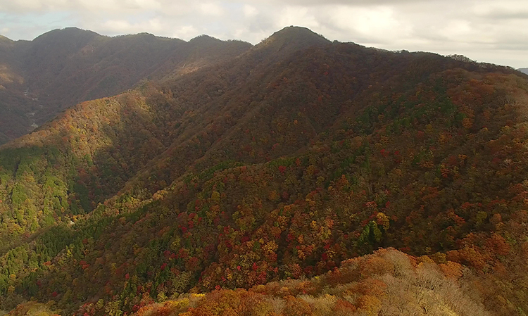 塔ノ岳と鍋割山稜