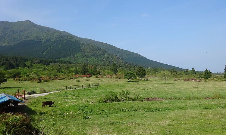 田代原草原と平成新山