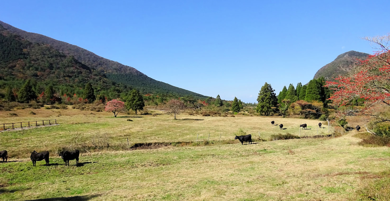 秋の田代原湿原